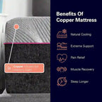 Matelas Bridgevine Home Renew Flex Top en mousse à mémoire de forme GelCare de 28 cm pour adulte